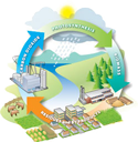 Bioenergy feedstock cycle