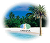 SPICOSA