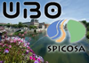 UBO & SPICOSA